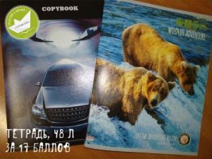 1 Тетрадь 48 л_17 бал.